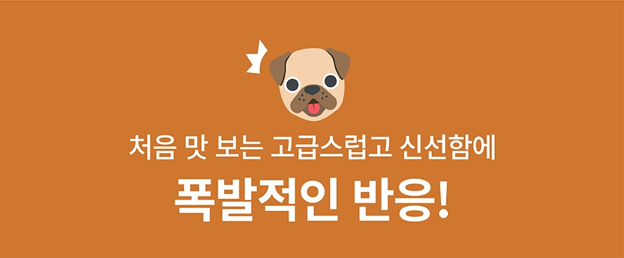 it 츄잇 (플레인/피넛버터/산양유/마누카꿀)-상품이미지-5