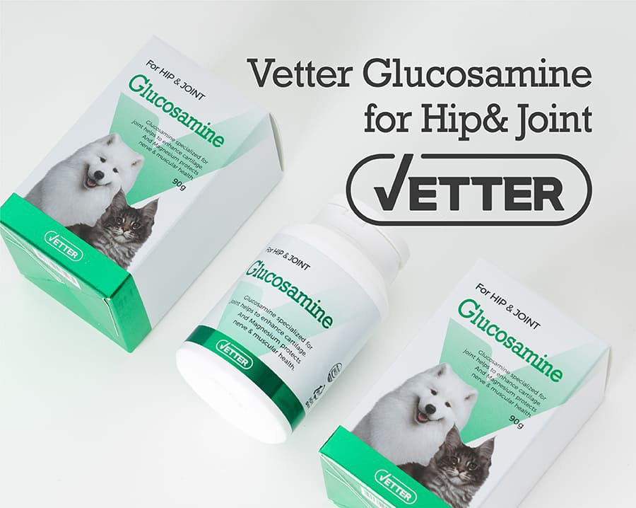 Vetter 댕냥이 영양 파우더 11종 (관절/피부/안정/눈/장/소화)-상품이미지-8