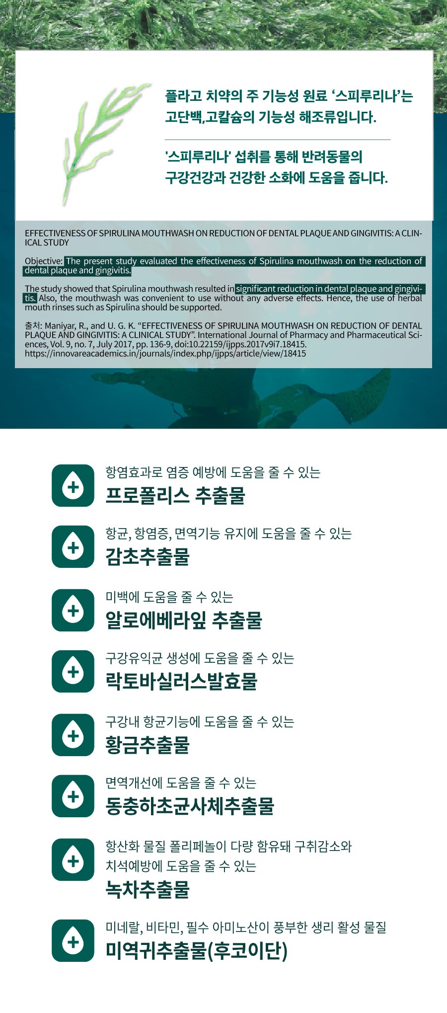 플라고 치약 플러스 (80g)-상품이미지-15