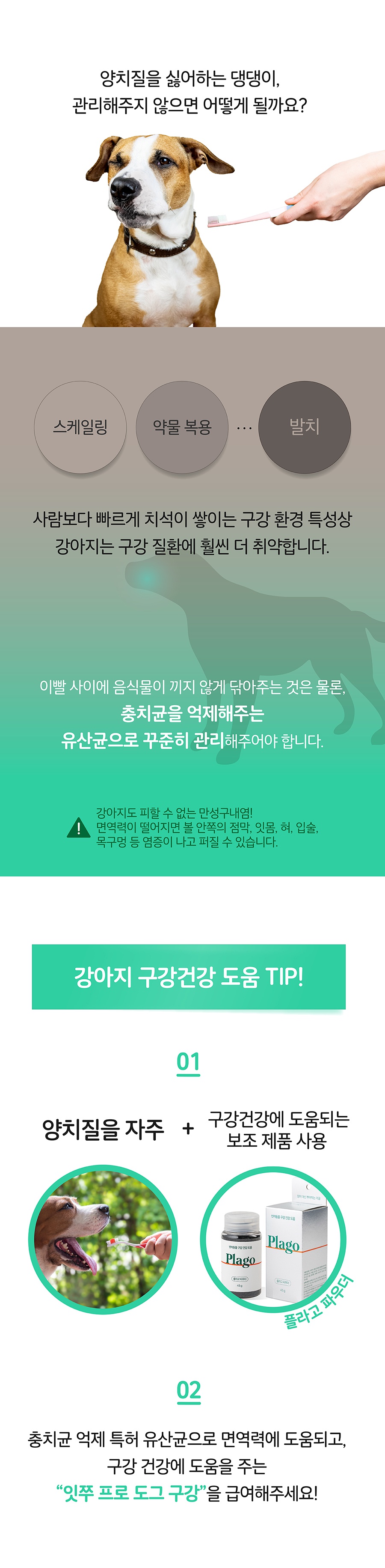 it 잇쭈 프로 도그 구강 특대용량 (8개입*8개)-상품이미지-2